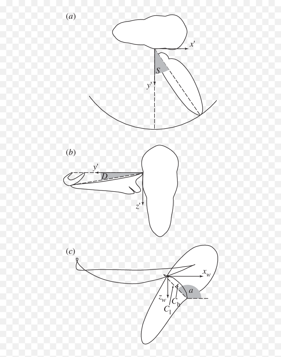 Definition Sketches Showing Calculation Of Kinematic - Line Art Png,Angle Wings Png