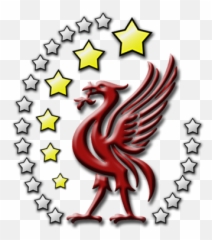 Adobe Camera Raw And Photoshop Cselements Compatibility - Liverpool Team png