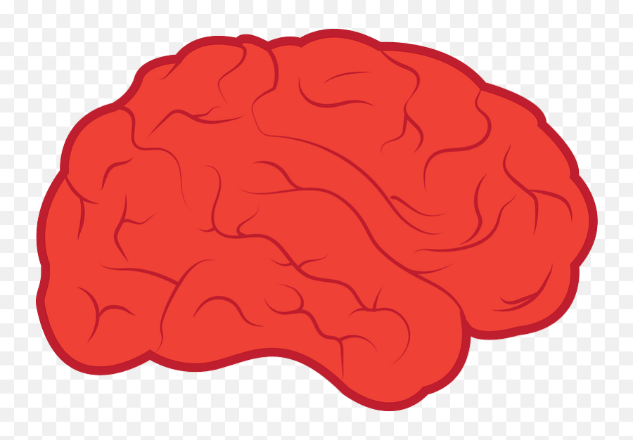 Brain Clipart Free Download Transparent Png Creazilla - Slow Brain Cells,Brain Png Icon