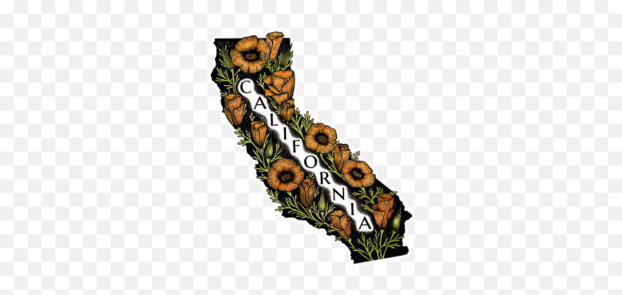 Magnetic Decal For Car California Colorful Poppy Map Cali - Magnet 3 5 Ebay Vertical Png,Batman Icon On Map