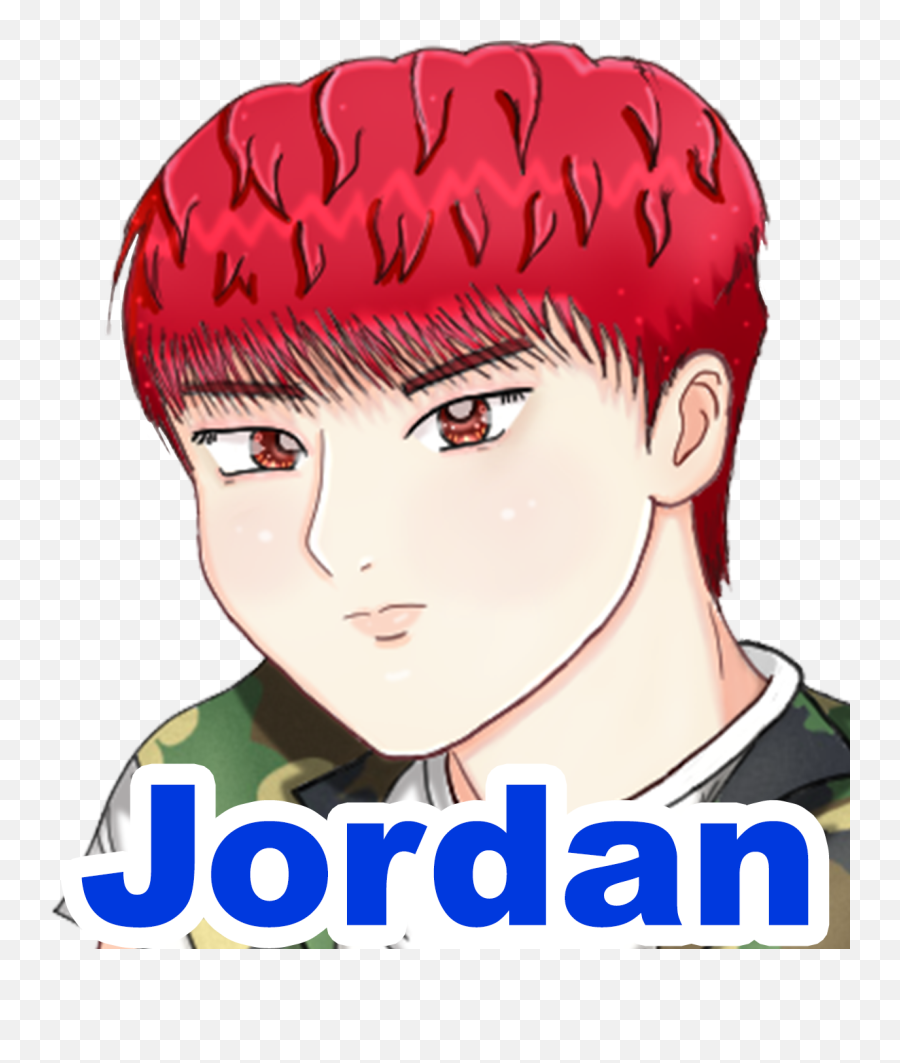 K - Pop Idol Diaries Home Story Volumes Characters For Adult Png,Seventeen Icon