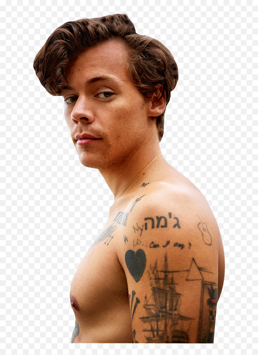 Harry Styles Png Transparent Image - Pngpix,Harry Icon