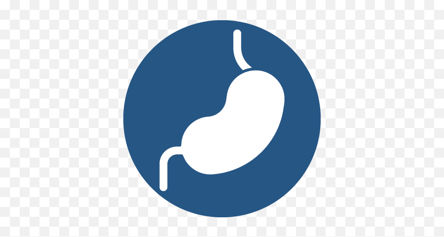 Gastro - Intestinal Tract U2013 Toronto Adult Cystic Fibrosis Centre Language Png,Full Stomach Icon