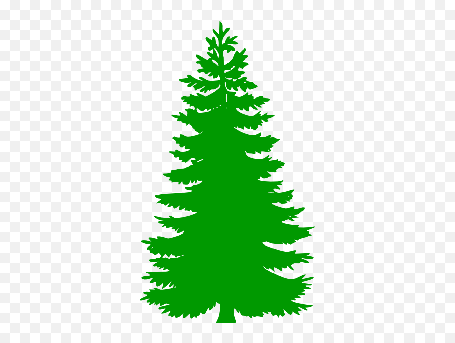 Pine Tree Logo - Vector Pine Tree Silhouette Png,Pine Tree Logo