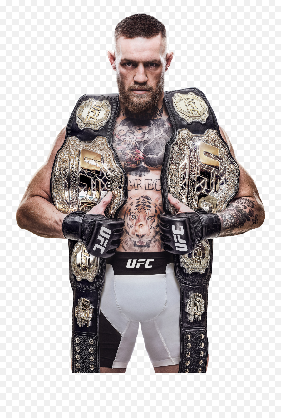 Ea Sports Ufc Png Transparent Image - Ufc,Ufc Png