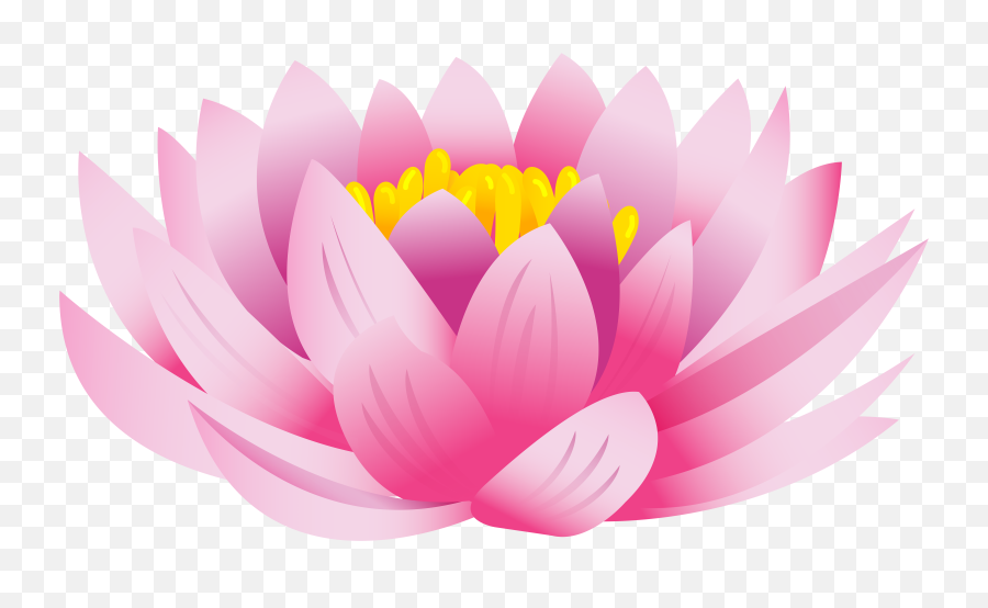 Lotus Flower Png Clip Art Image - Lotus Flower Images Png,Flower Cartoon Png