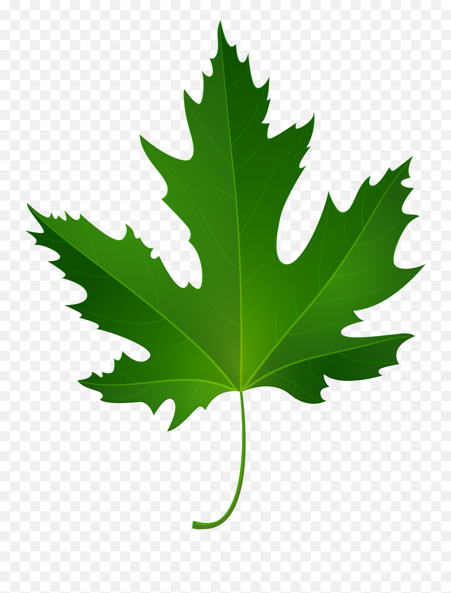 Leaves Clipart Dark Green Transparent Png