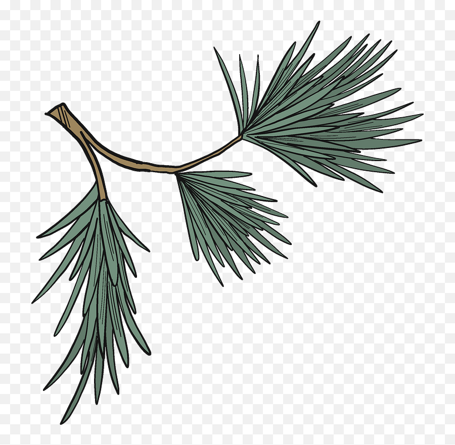 Evergreen Tree Branch Clipart Free Download Creazilla - Evergreen Png,Evergreen Tree Png