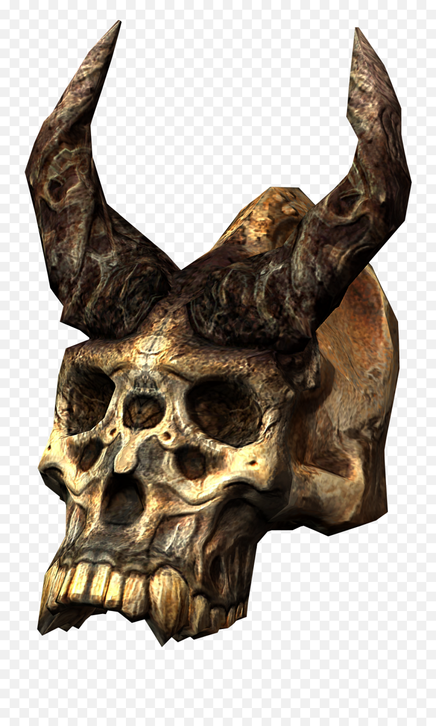 Karstaagu0027s Skull Elder Scrolls Fandom - Skyrim Dragon Skull Png,Skull Png