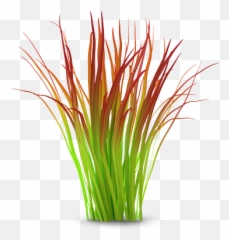 Aqua Recharge Essence - JUVENA of Switzerland Grass png