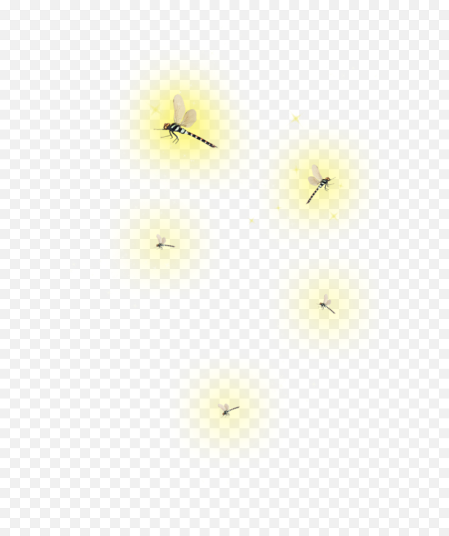 Freetoedit - Lightning Bug Firefly Png,Firefly Png