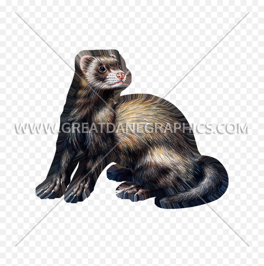 Ferret Production Ready Artwork For T - Shirt Printing Sea Otter Png,Ferret Png