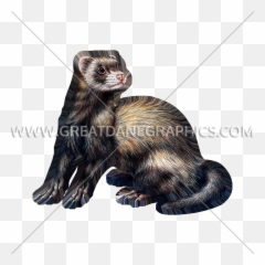 Ferret Production Ready Artwork For T - Shirt Printing Sea Otter Png,Ferret Png