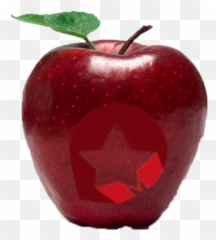 The - Mela Rossa Cuneo Igp Png,Manzana Png