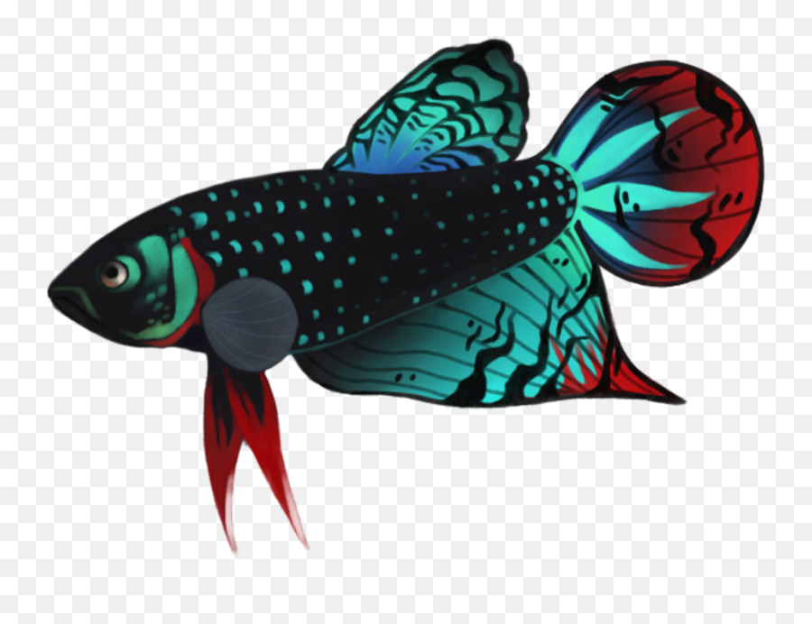 Betta Fish Cartoon Png Clipart - Logo Ikan Cupang Png,Betta Fish Png