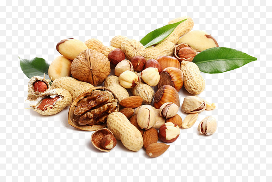 Download Nut Png High - Nut Png,Nut Png