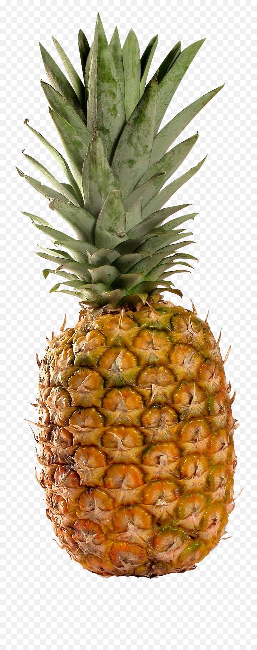 Pineapple Png Transparent - Pineapple Png,Pineapples Png