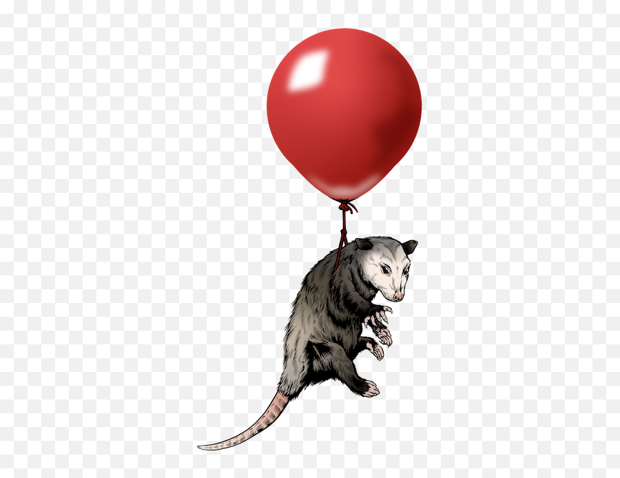 James Williamson Possum Balloon - Cat Yawns Png,Possum Transparent