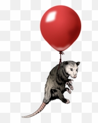 James Williamson Possum Balloon - Cat Yawns Png,Possum Transparent