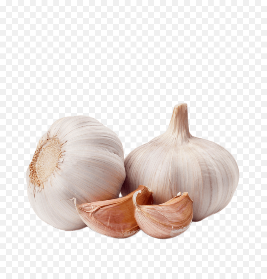 Garlic - Sticker By Jillhdz Garlic Images Hd Png Download,Garlic Transparent Background