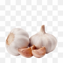 Garlic - Sticker By Jillhdz Garlic Images Hd Png Download,Garlic Transparent Background