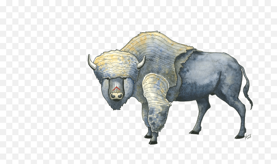 Buffalo Art Pen U0026 Ink And Watercolor - Peptalks Bull Png,Buffalo Png