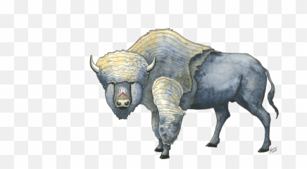 Buffalo Art Pen U0026 Ink And Watercolor - Peptalks Bull Png,Buffalo Png