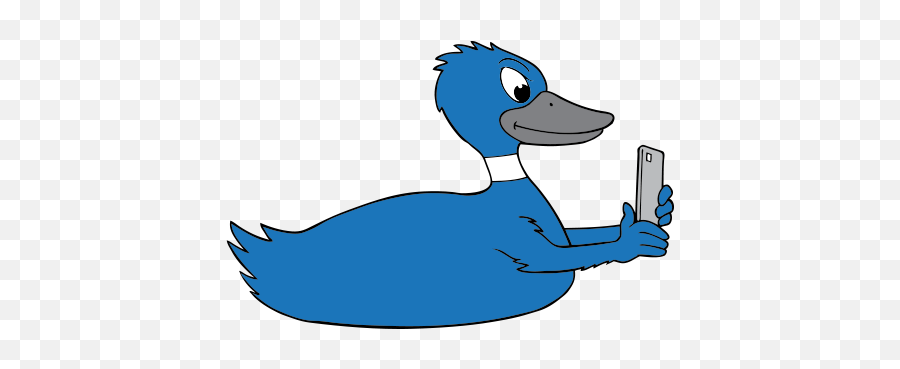 Contact U2014 Blue Duck Media - Blue Duck Png,Blue Phone Png
