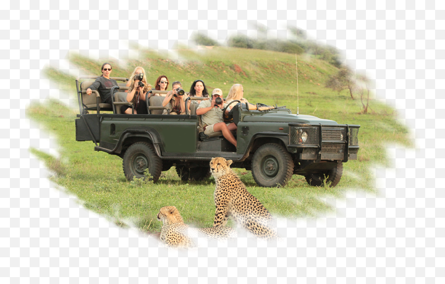 Doc Antles African Safari - Vehicle Png,Safari Png