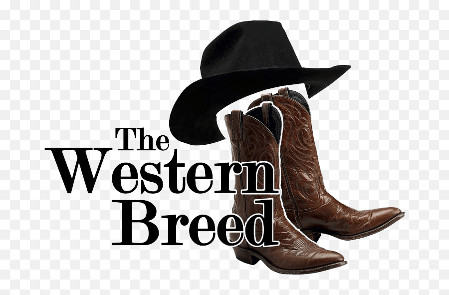 Western Apparel Galesburg Mi The Breed - Durango Boot Png,Cowboy Transparent