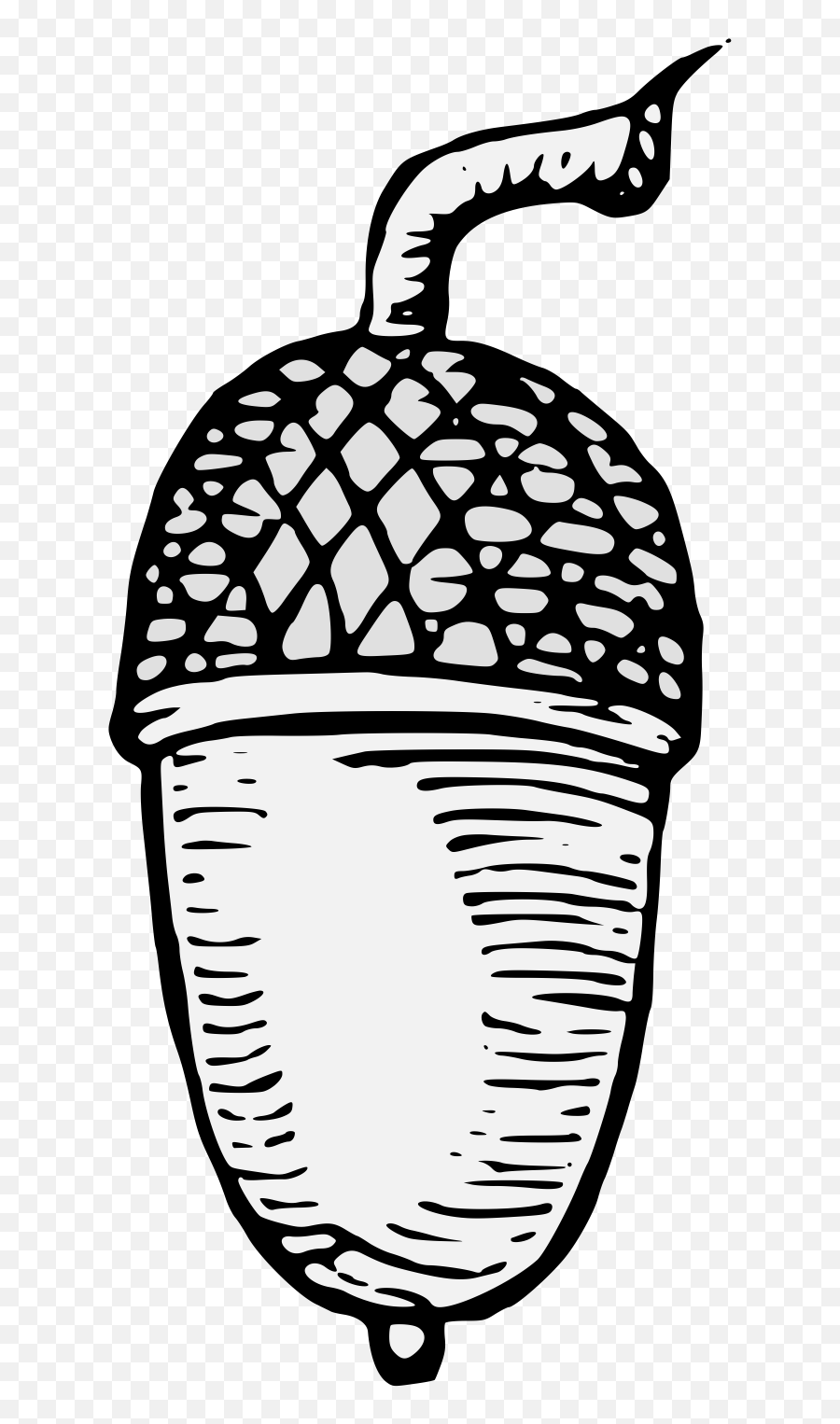 Acorn - Traceable Heraldic Art Dot Png,Acorn Png - free transparent png ...