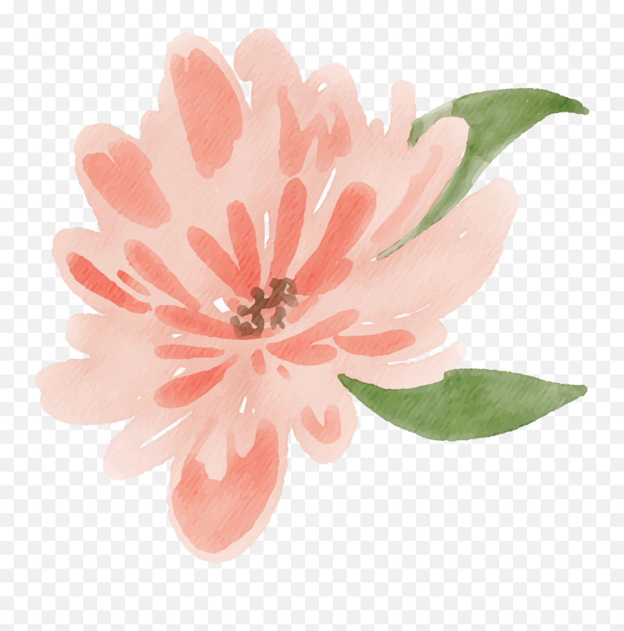 Free Watercolor Flower Images - Peach Delight Free Pretty Png,Watercolor Flower Png