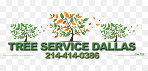 Dallas Tree Stump Grinding - Tree Service Dallas 673x224 Natural Foods Png,Stump Png