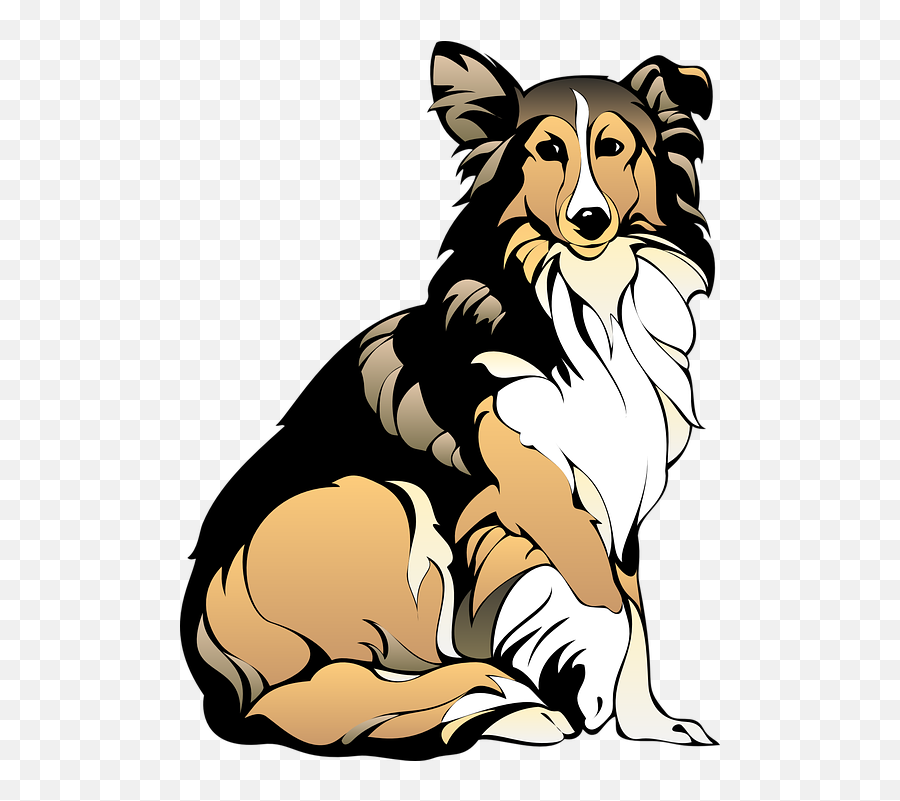 Dog Sitting Pet - Brown Border Collie Clipart Png,Dog Sitting Png