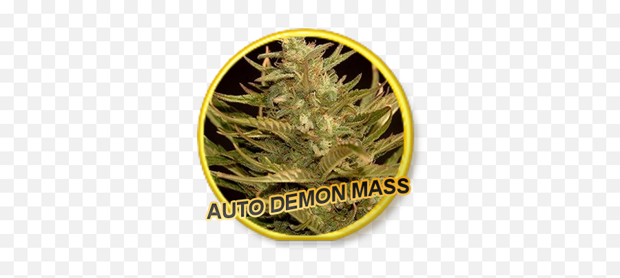 Auto Demon Mass - Label Png,Demon Transparent