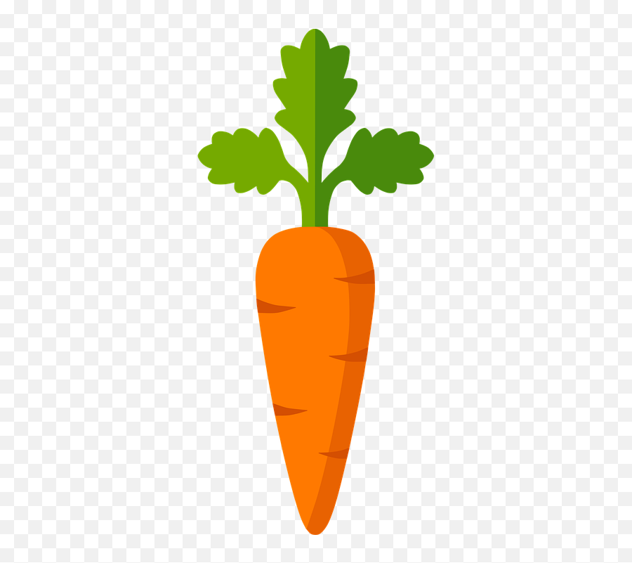 Zanahoria Vegetales Orange - Ortaggi Silhouette Png,Zanahoria Png