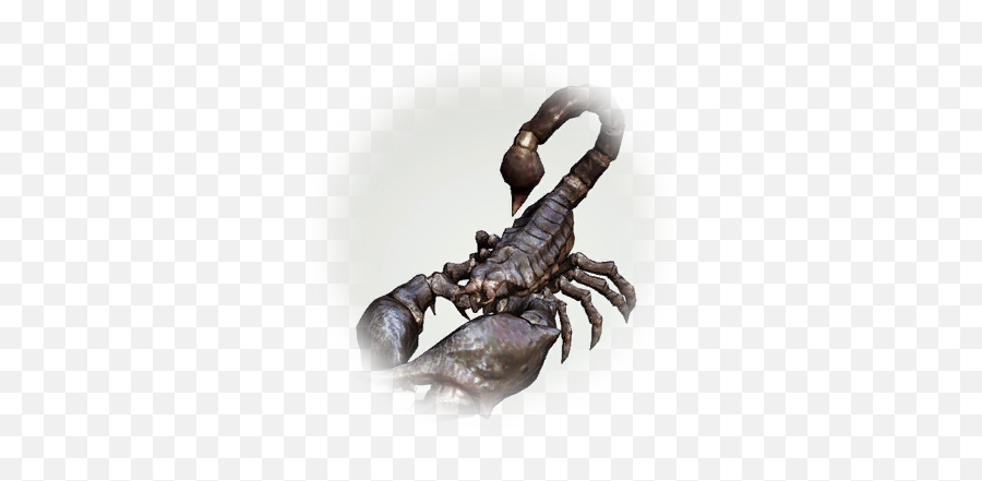 Bdo Giant Desert Scorpion Bddatabasenetusnpc21210 - Emperor Scorpion Png,Icon Scorpion Helmet