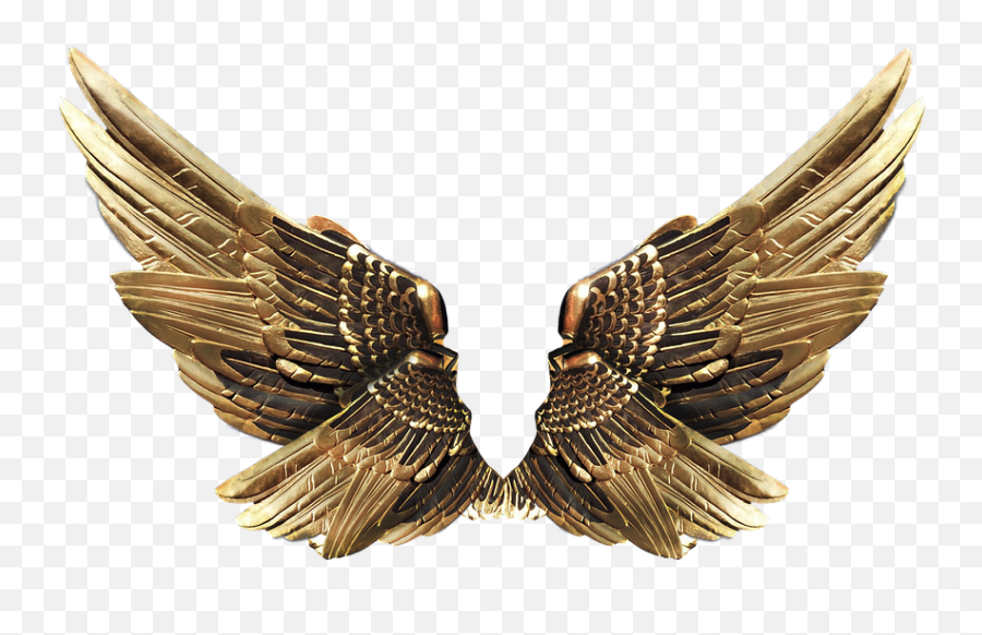 Gold Wings Png 2 Image - Metal Wings Png,Gold Wings Png