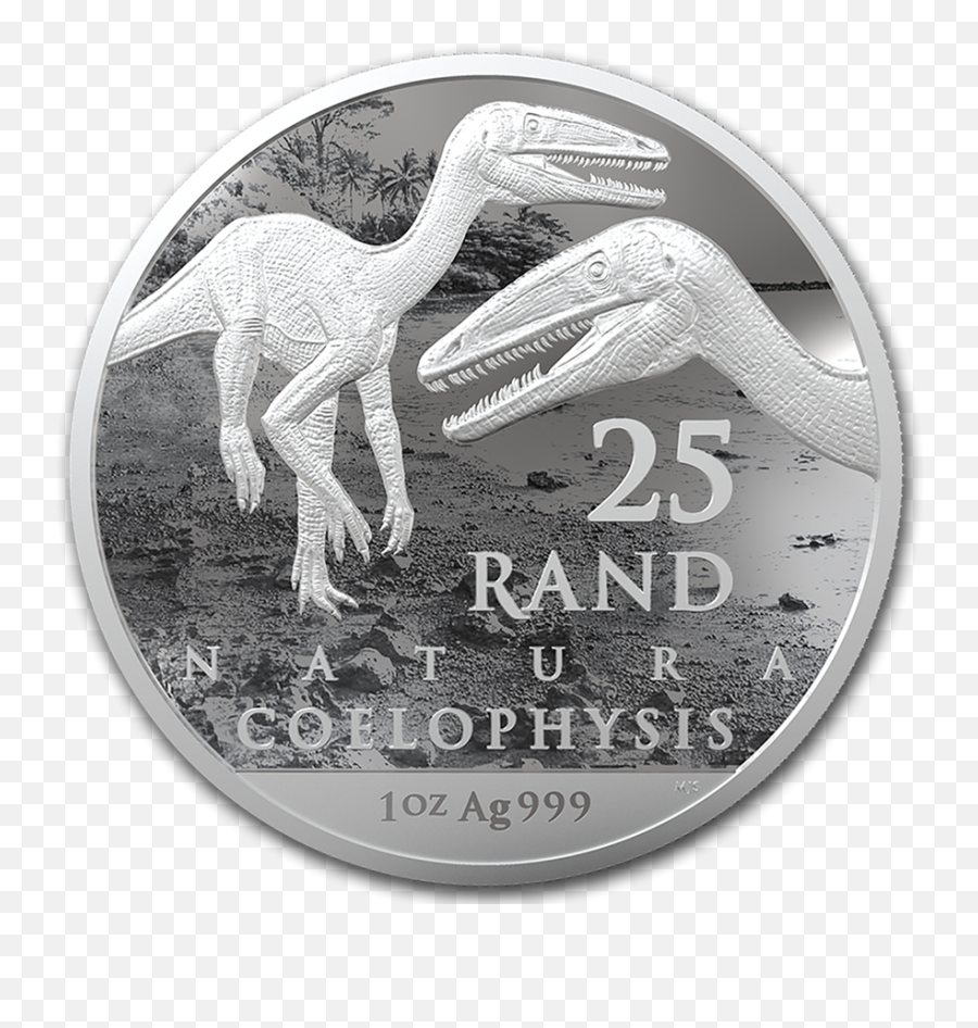2020 1 Oz South Africa Natura Dinosaur Coelophysis 999 Silver Coin Bu - Kwadrans Png,Camel Logo