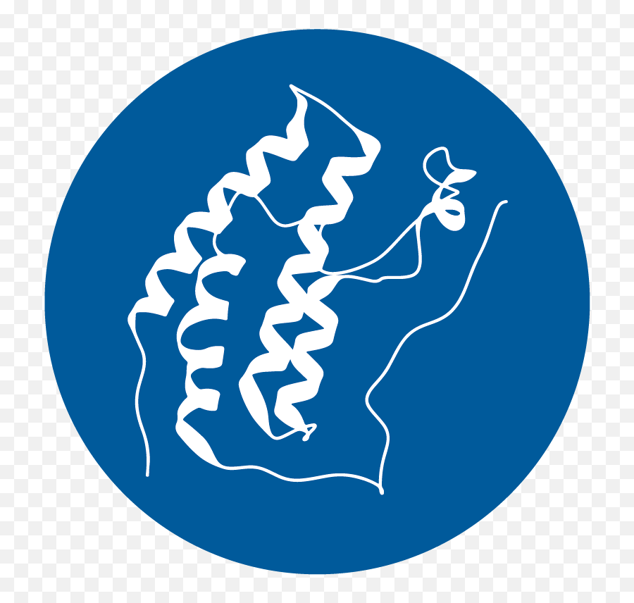 Custom Targeted Protein Degradation Services Bio - Techne Cronulla Sharks Png,High Protein Icon