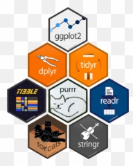 Tidy Up Your Data Science Workflow With The Tidyverse - Positive Youth Development png