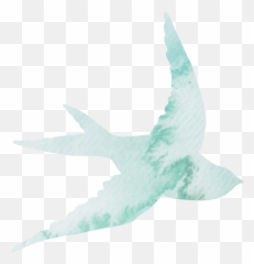 Awakened Marriage - Transformational Course to Bring Typical Swallows png