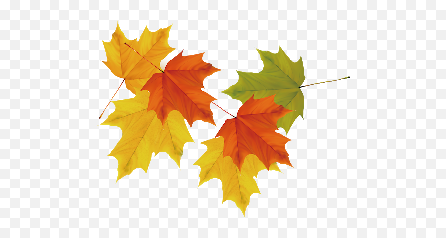 Download Free Autumn Falling Vector Leaf Hq Icon - Green To Orange Yellow Leaves Png,Autumn Leaf Icon