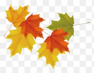 Download Free Autumn Falling Vector Leaf Hq Icon - Green To Orange Yellow Leaves png