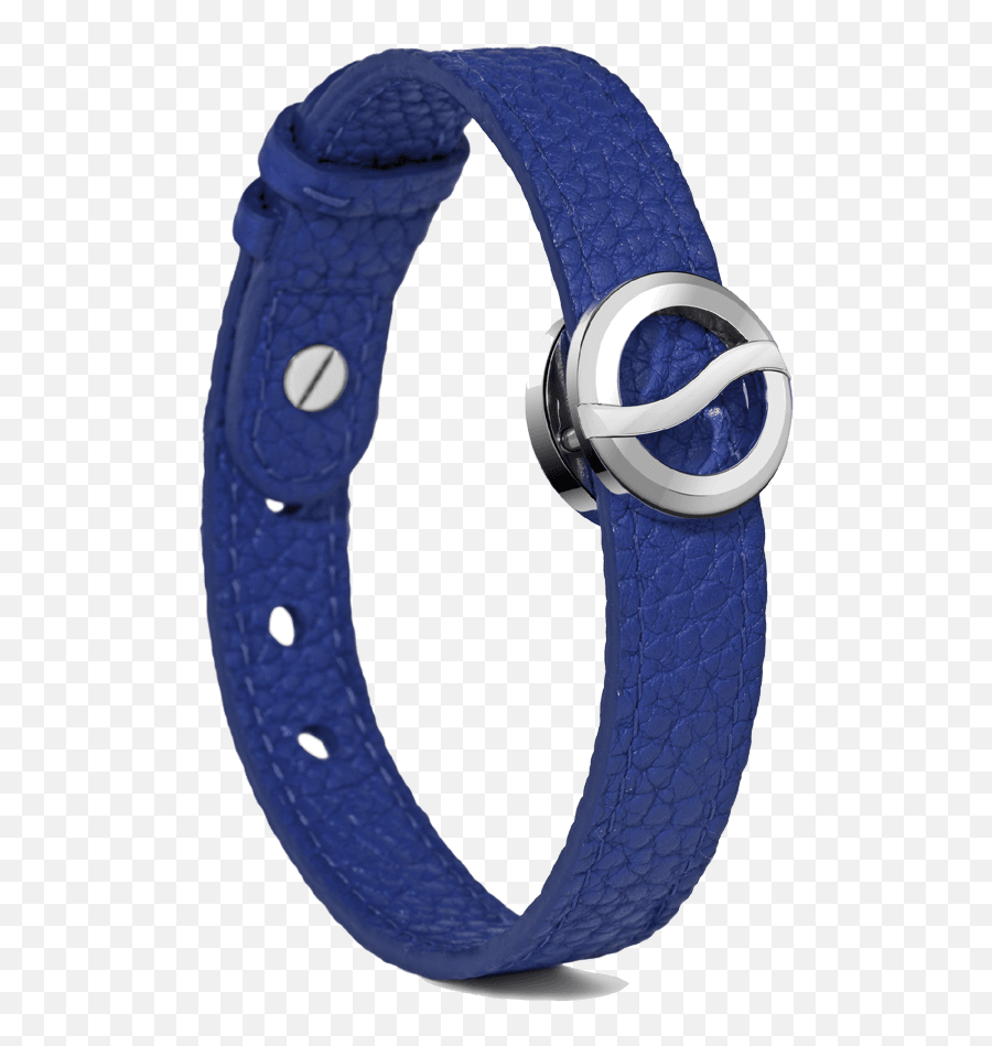 Horizon Bracelet - Steel Icon Model 10sbbss Png,Karl Icon