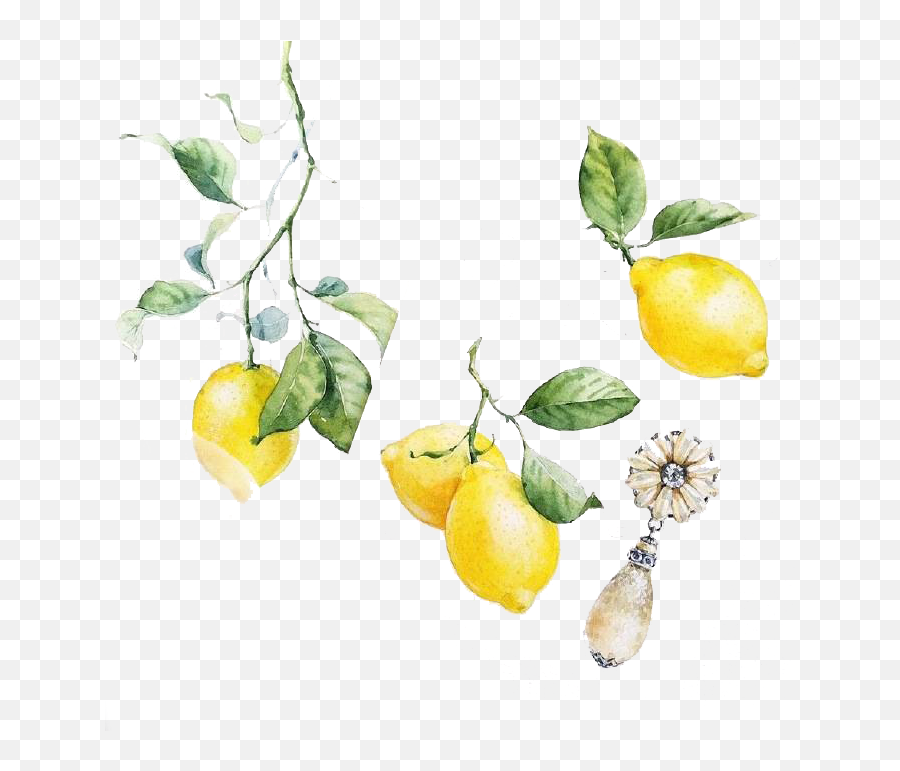 Lemon Yellow - Png Lemon Clipart Watercolor,Lemon Clipart Png
