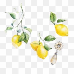 Lemon Yellow - Png Lemon Clipart Watercolor,Lemon Clipart Png