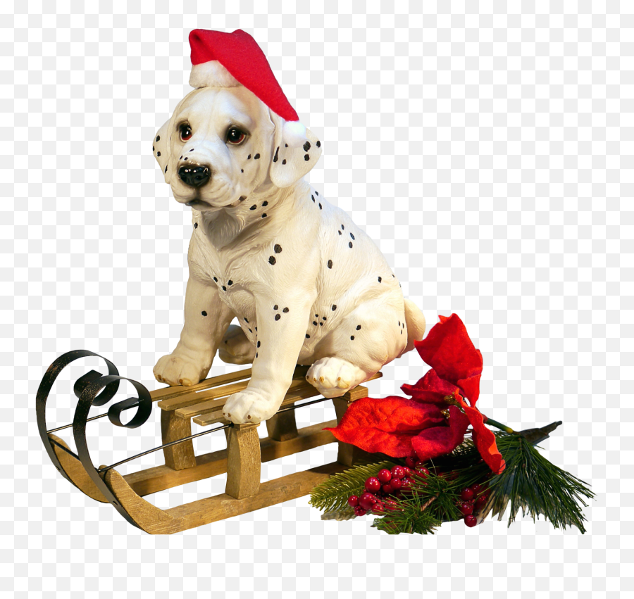 Christmas Dog Png Transparent Image - Pngpix,Christmas Transparent