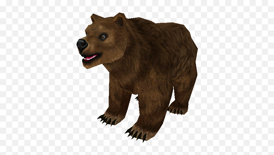 Pc Computer - Zoo Tycoon 2 Grizzly Bear Cub The Models Bear Png,Grizzly Bear Png