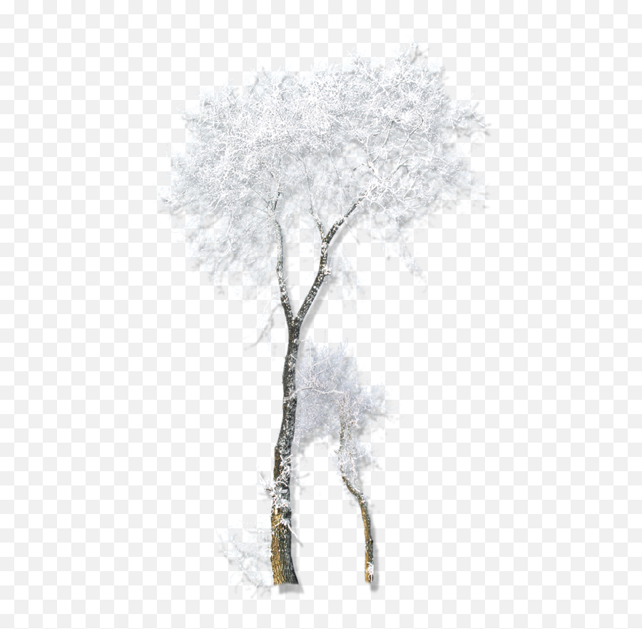 Twig Drawing Winter Belvedere Vodka - Transparent Snow Tree Gif Png,Transparent Snow Gif